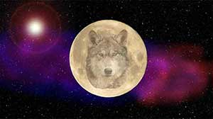 Wolf Moon