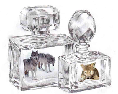 Wolf Bottles